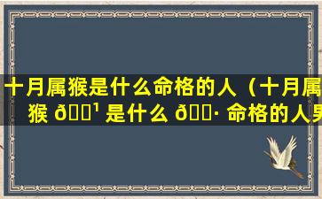 十月属猴是什么命格的人（十月属猴 🌹 是什么 🌷 命格的人男）